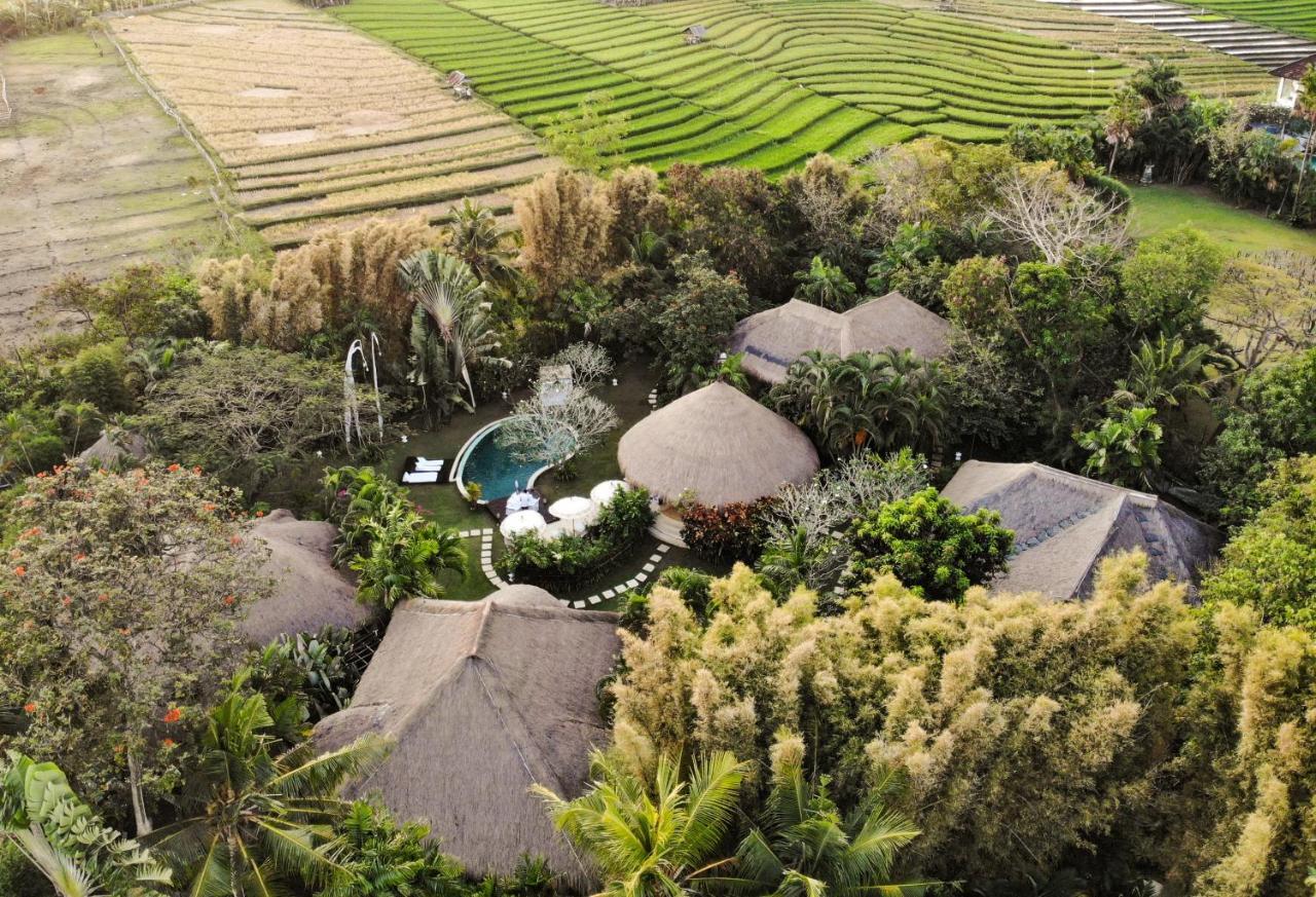 Villa Mathis Canggu Extérieur photo
